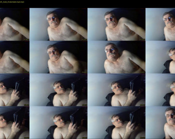 wildwilly10