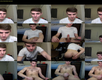 willyt98
