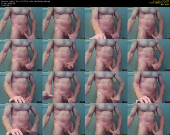 zeplin12