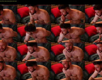 about_the_bulge