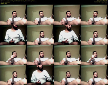 arabbigcock300