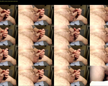 charliestayshard