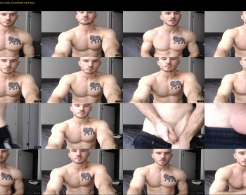mr_lionn83