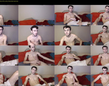 sexual_vibrations