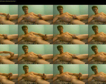 warrenstrips