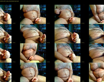 bellyworshipper