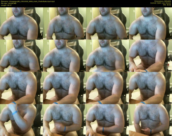 chicagoguy86