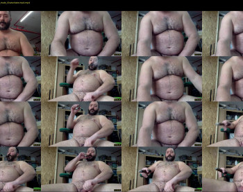 cjbbear
