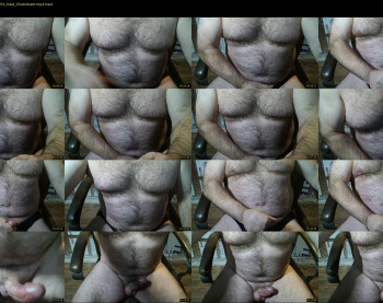 furrybear2