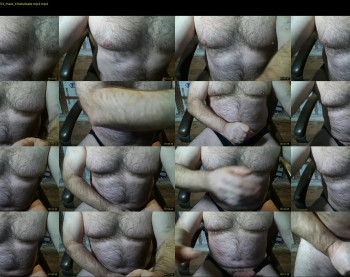 furrybear2