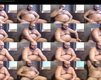 italian_bear