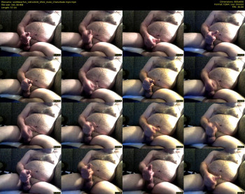scottbearfun