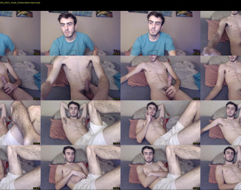 sexual_vibrations