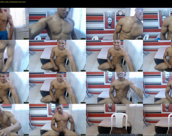 teddyfit19cm