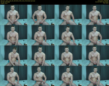 alpha_male_95