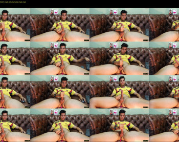 angell_david