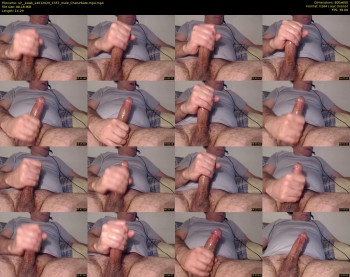 sir__kawk