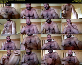musclbear