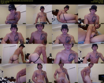 playboymateo