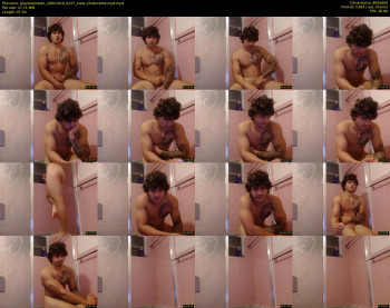playboymateo