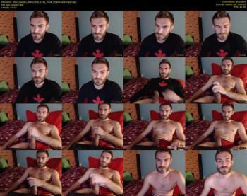 10in_stallion