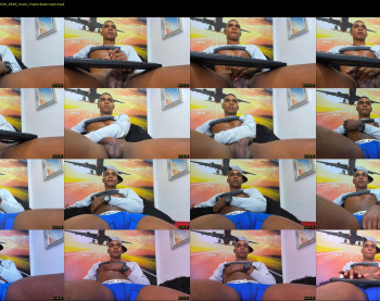 blackboy12inches