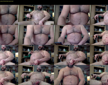 cjbbear