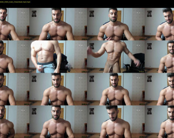 harrymusclemodel
