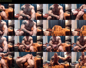 ironhulk22