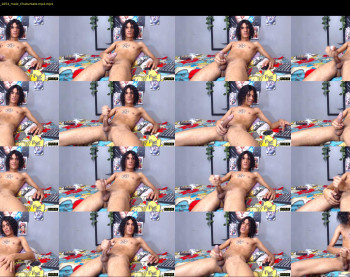 kingacxellatin
