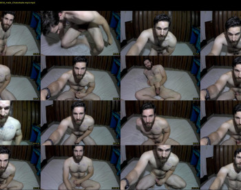 osito_blanco