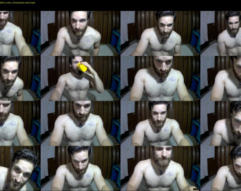 osito_blanco