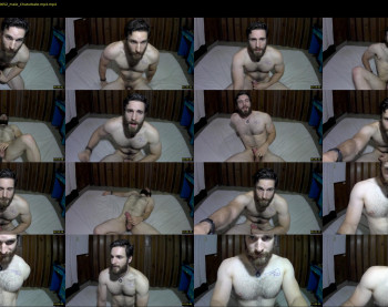 osito_blanco