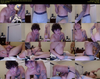 playboymateo