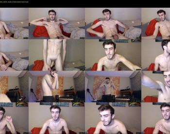sexual_vibrations