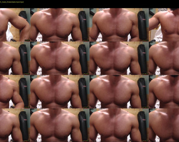 titanhunk