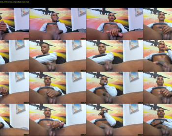 blackboy12inches