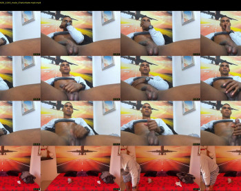 blackboy12inches