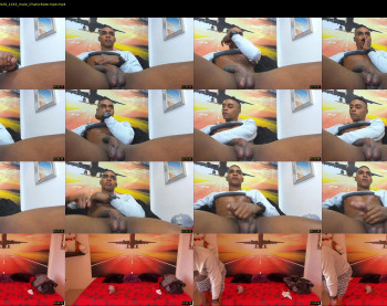 blackboy12inches