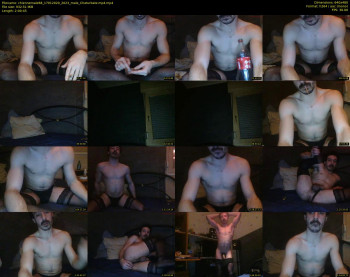 chiennemale68