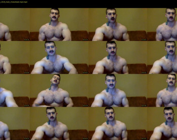 panda_muscle