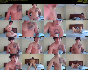 playboymateo