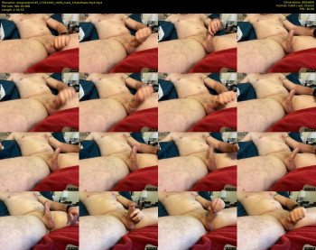 shaynestorm45