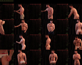 about_the_bulge