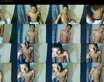 fox_dick