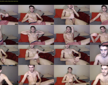 sexual_vibrations