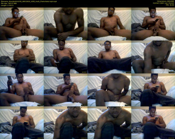 thunderdick239