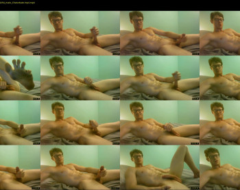 warrenstrips