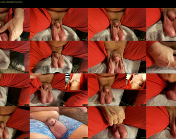 dhard04