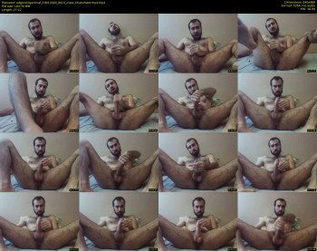 edgerslutyanimal
